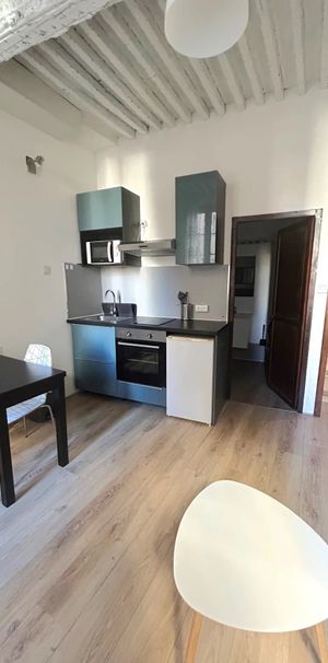 Location Appartement 1 pièce 23m² AIX EN PROVENCE 13100 - Photo 1