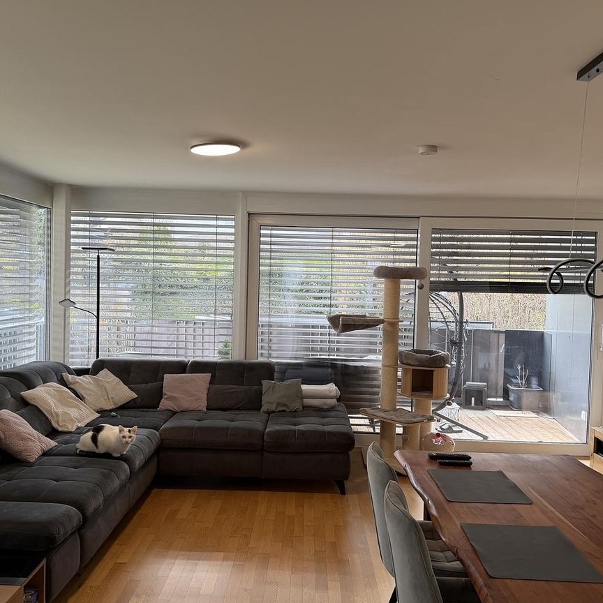 Moderne 3-Zi-Wohnung in Bregenz zu vermieten! - Photo 1