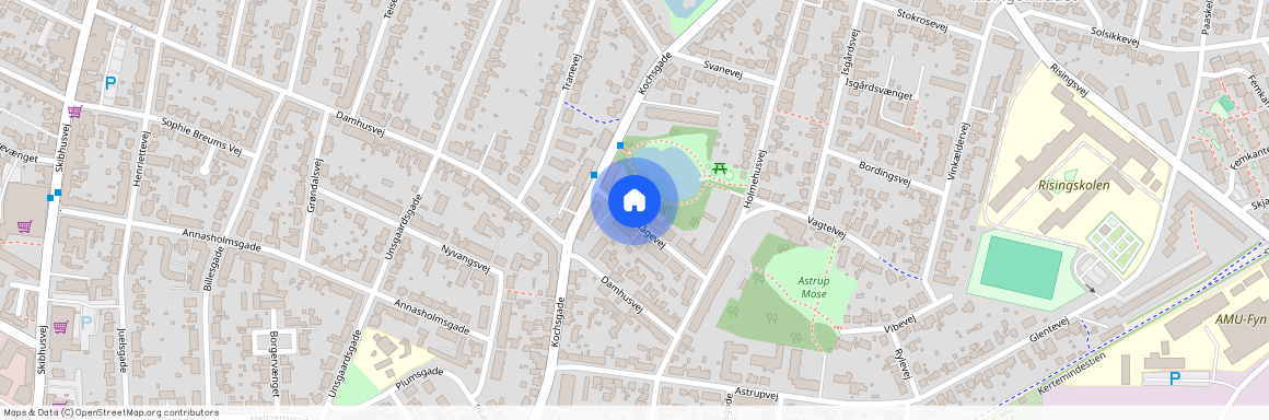 Mågevej 8 st. th, 5000 Odense C