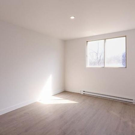1 CH - 1 SDB - Montréal - $1,499 /mo - Photo 3