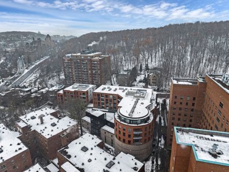 Nouveauté sur le marché Appartement à louer - Montréal (Ville-Marie) (Mille Carré Doré) - Photo 4