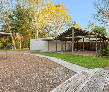 Huge Storage Shed/work shop area - Photo 6