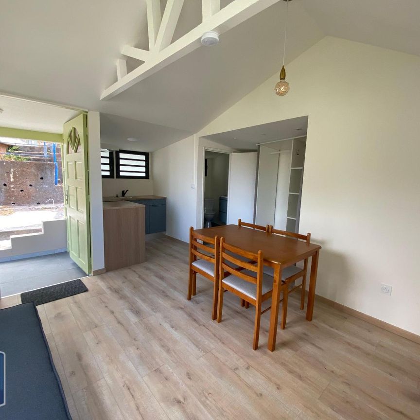 Location Maison 1 pièce 20m² ST DENIS 97400 - Photo 1