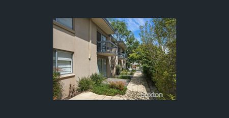 LIFESTYLE LOCATION! - Photo 5