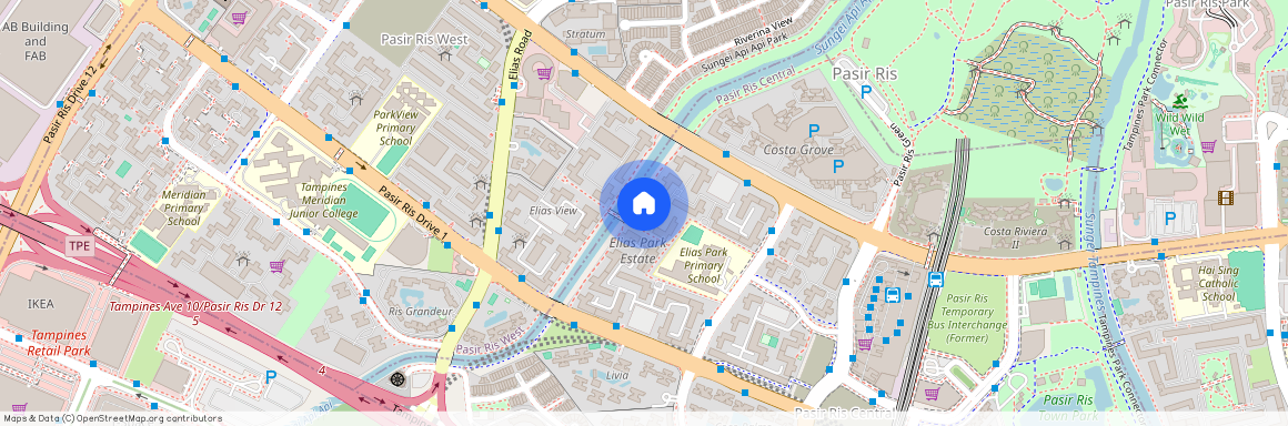 509 Pasir Ris Street 52 (510509), Singapore