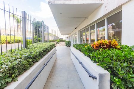 Apartamento com 3 quartos e 84m² para alugar em Jardim Carvalho, Porto Alegre. - Photo 5