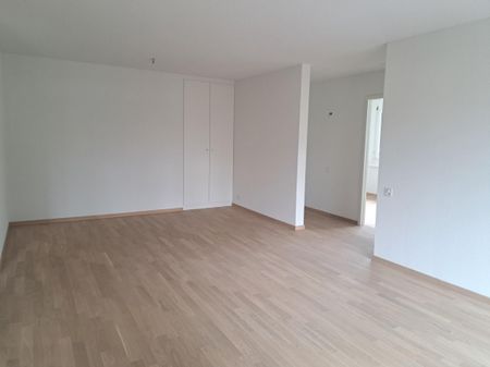 RENOVATED APARTMENT WITH BALCONY AND ELEVATOR - Foto 4