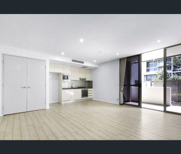 Spacious and Homey One Bedroom with Courtyard - Photo 5