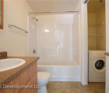 1 Bedroom (Small) - Photo 4