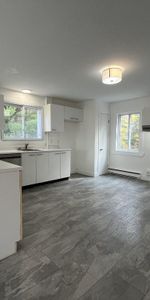 Beau grand 4 et demi lumineux et tranquille - Photo 4