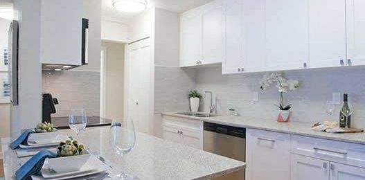 Luxury renovations meet pet-friendly living in this one-bedroom gem. - Photo 2