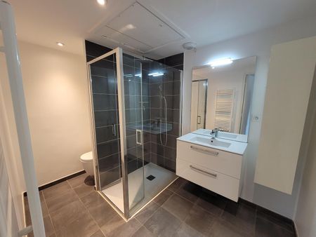 Location Appartement 2 pièces 39m² CRAPONNE 69290 - Photo 5
