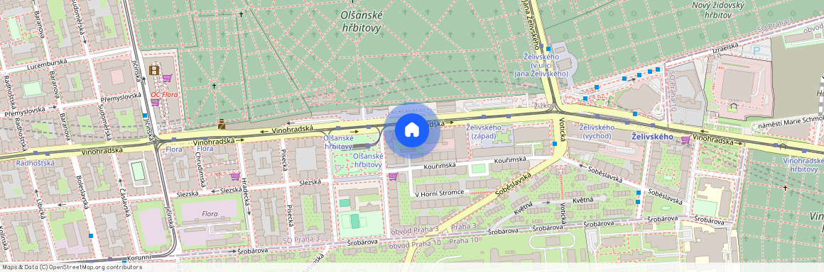 Vinohradská 2370/172, Praha