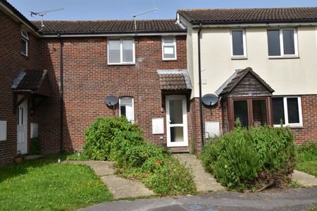 South Ash - Photo 4