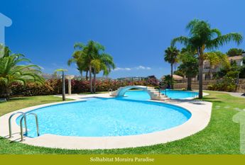 Paradise WINTER OFFER