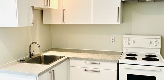 Appartement Avec Vue Sur Parc Baldwin - Photo 2
