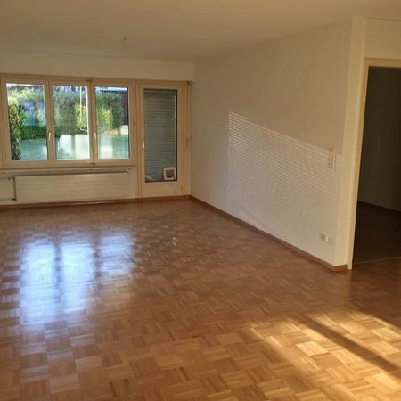 3.5 Zimmer, 69 m², EG - Foto 3