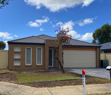 12 Westminster Avenue, Shepparton VIC 3630 - Photo 5