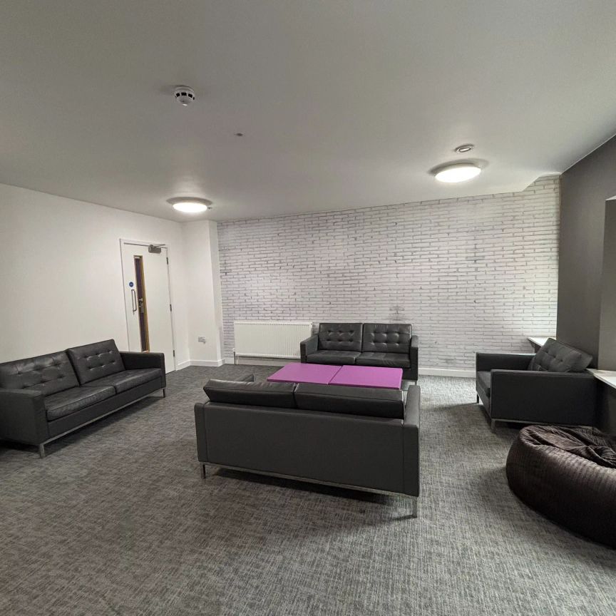 Standard Studio - Photo 1