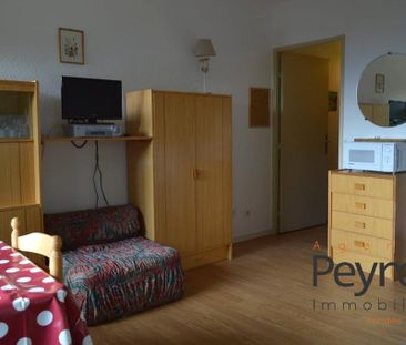 Location Appartement 1 pièce 25m² FONT ROMEU ODEILLO VIA 66120 - Photo 1