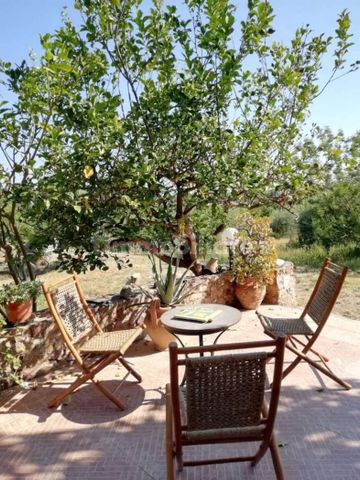 Appartamento in villa Contrada Piano di Caronia, Caronia - Photo 5