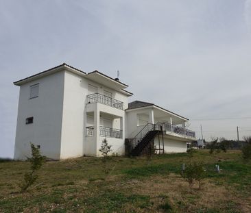 Μονοκατοικία 389 τ.μ. προς ενοικίαση - Photo 1