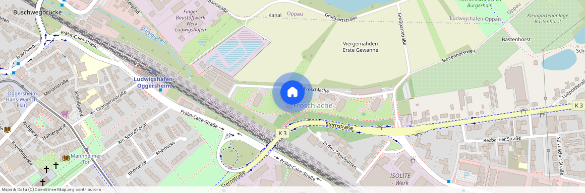 Froschlache 19, 67063 Ludwigshafen-Friesenheim