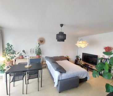 Location Appartement 1 pièce 36m² DAX 40100 - Photo 2