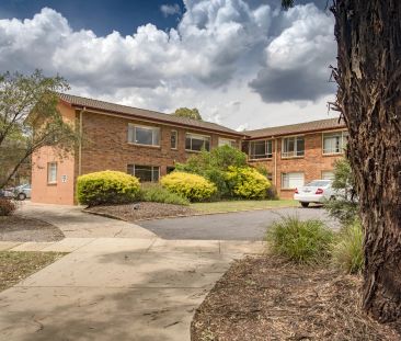 28/127 Madigan Street, Hackett. - Photo 2