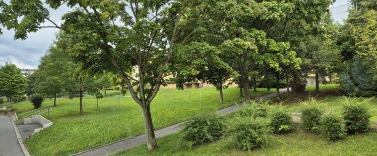 IDYLLISCH GELEGENE WOHNUNG MIT DUSCHE!!! - Photo 1