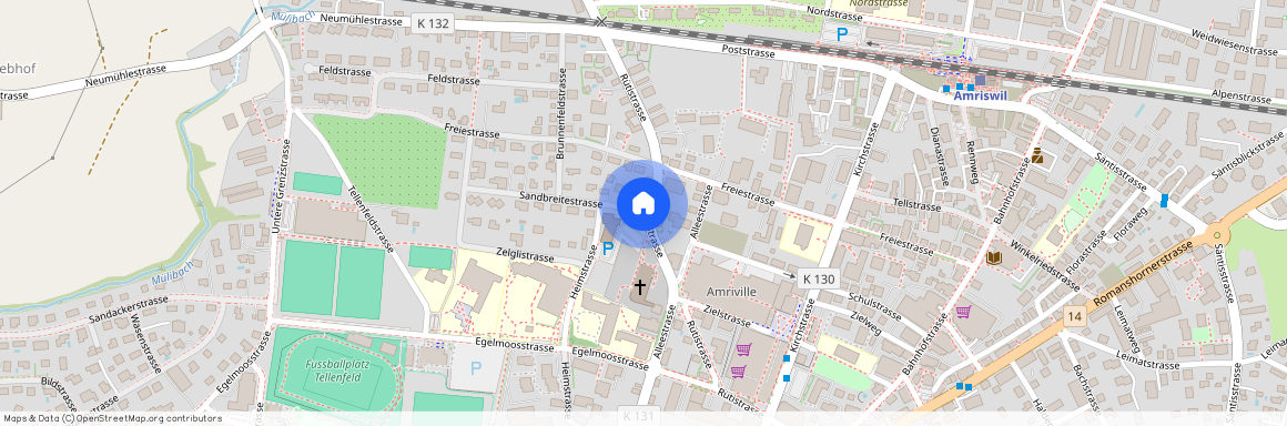 8580, Amriswil, Rütistrasse, 17