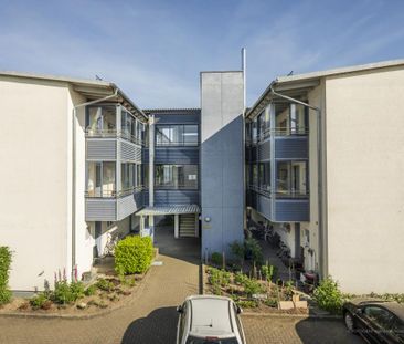 Demnächst frei! 1-Zimmer-Wohnung in Germersheim - Photo 3