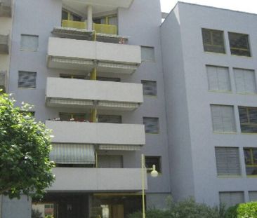 Petit-Lancy 31 Bis, 1213 Petit-Lancy - Foto 5