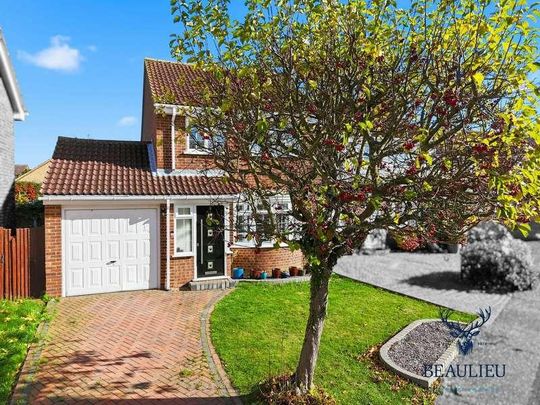 Stirrup Close, Chelmsford, Cm, CM1 - Photo 1