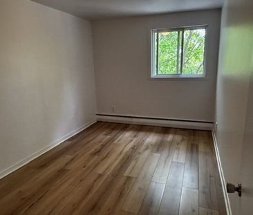 3 1/2, LIBRE IMMÉDIATEMENT - Photo 1