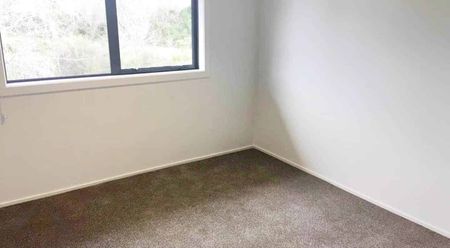 Modern One-Bedroom Apartment with Great Amenities - Photo 3