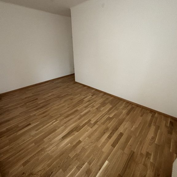 Werden Sie Teil eines auflebenden Stadtteils: moderne, helle Wohnung in ruhiger Lage von Steyr-Münichholz mit hochwertiger Ausstattung und hohem Wohnkomfort! Ab sofort bezugsfertig! - Foto 1