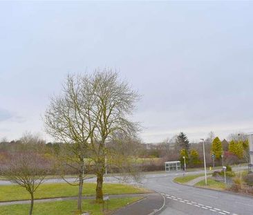 Ballochmyle, Calderwood, East Kilbride, G74 - Photo 6