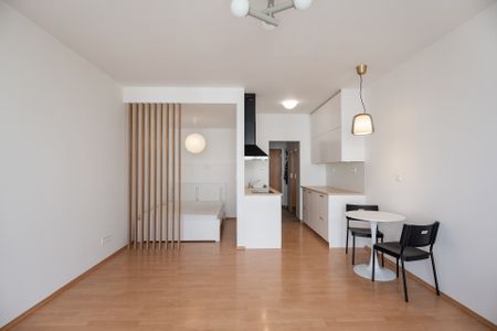 Apartment for rent, 1+KK - Studio, 42m - Photo 2