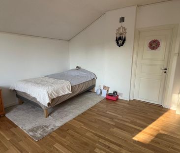 Millbergsstigen, Mölndal - Photo 5