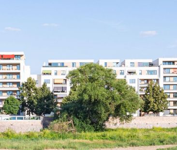 Attraktive Single-Wohnung mit Balkon an der Elbe! Ab März 2026 - Foto 1