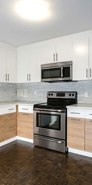 1 CH - 1 SDB - Montréal - $1,495 /mo - Photo 1