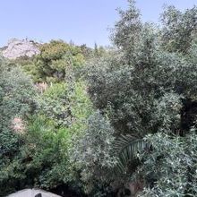 Διαμέρισμα για ενοικίαση - Κολωνάκι - Λυκαβηττός, - Photo 2