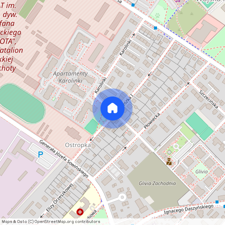 ul. Bolesława Śmiałego, Wojska Polskiego, Gliwice, śląskie