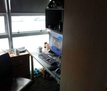 Central Auckland 1BR Gem! - Photo 2