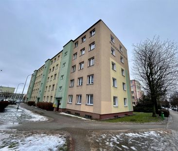 Grudziądz, Centrum Mieszkanie na wynajem - Zdjęcie 6