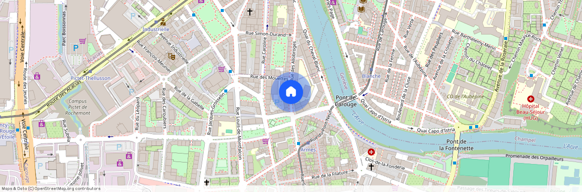 rue des Allobroges, 1227 Carouge GE