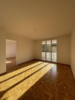 2.5 Zimmer, 44 m², 2. Stock - Photo 1