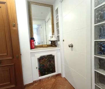 Plaza Doctor Barraquer, Sevilla, Andalusia 41009 - Photo 2