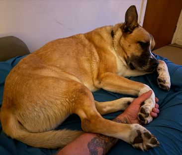 Oakleigh South - Photo 6